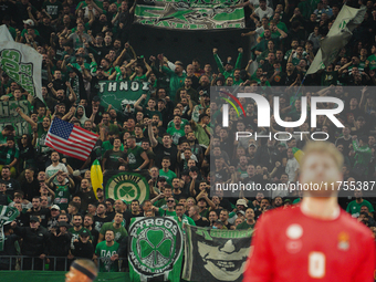 Panathinaikos fans are present during the warm-up for the Euroleague game between Panathinaikos and Olympiacos, with a final score of 89-94,...