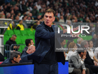 The coach of Olympiacos, Georgios Bartzokas, is present during the Euroleague game between Panathinaikos and Olympiacos, with a final score...