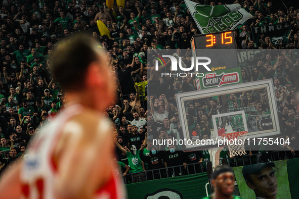 Panathinaikos fans attend the Euroleague game between Panathinaikos and Olympiacos, with a final score of 89-94, at OAKA in Athens, Greece,...