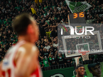 Panathinaikos fans attend the Euroleague game between Panathinaikos and Olympiacos, with a final score of 89-94, at OAKA in Athens, Greece,...