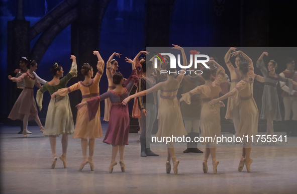 Dancers rehearse a fragment of the work Swan Lake at the Palace of Fine Arts in Mexico City, on November 8, 2024. The choreographic version...