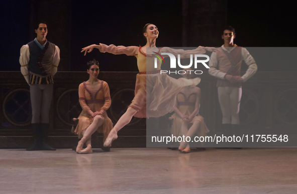 Dancers rehearse a fragment of the work Swan Lake at the Palace of Fine Arts in Mexico City, on November 8, 2024. The choreographic version...