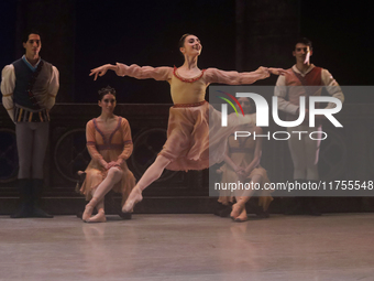 Dancers rehearse a fragment of the work Swan Lake at the Palace of Fine Arts in Mexico City, on November 8, 2024. The choreographic version...