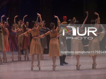 Dancers rehearse a fragment of the work Swan Lake at the Palace of Fine Arts in Mexico City, on November 8, 2024. The choreographic version...