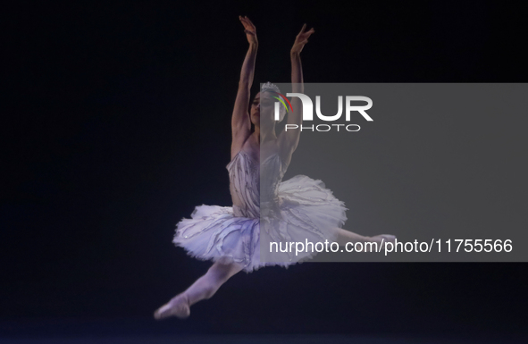 Dancers rehearse a fragment of the work Swan Lake at the Palace of Fine Arts in Mexico City, on November 8, 2024. The choreographic version...