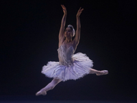 Dancers rehearse a fragment of the work Swan Lake at the Palace of Fine Arts in Mexico City, on November 8, 2024. The choreographic version...