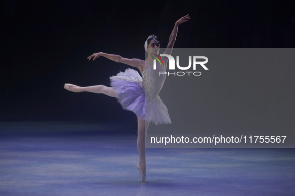 Dancers rehearse a fragment of the work Swan Lake at the Palace of Fine Arts in Mexico City, on November 8, 2024. The choreographic version...