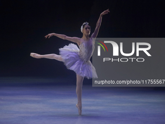 Dancers rehearse a fragment of the work Swan Lake at the Palace of Fine Arts in Mexico City, on November 8, 2024. The choreographic version...