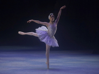 Dancers rehearse a fragment of the work Swan Lake at the Palace of Fine Arts in Mexico City, on November 8, 2024. The choreographic version...