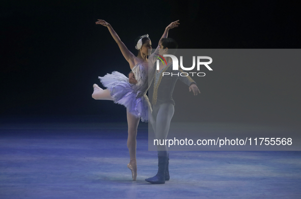 Dancers rehearse a fragment of the work Swan Lake at the Palace of Fine Arts in Mexico City, on November 8, 2024. The choreographic version...