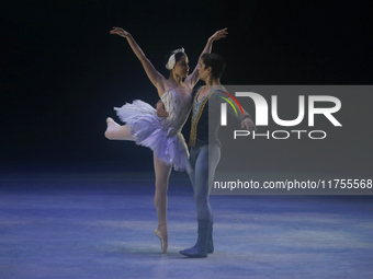 Dancers rehearse a fragment of the work Swan Lake at the Palace of Fine Arts in Mexico City, on November 8, 2024. The choreographic version...