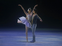 Dancers rehearse a fragment of the work Swan Lake at the Palace of Fine Arts in Mexico City, on November 8, 2024. The choreographic version...