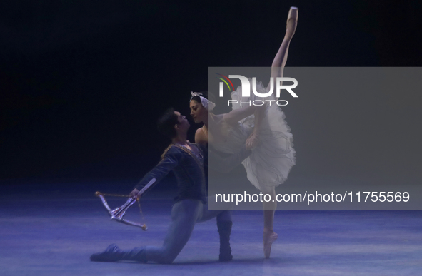 Dancers rehearse a fragment of the work Swan Lake at the Palace of Fine Arts in Mexico City, on November 8, 2024. The choreographic version...