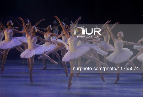 Dancers rehearse a fragment of the work Swan Lake at the Palace of Fine Arts in Mexico City, on November 8, 2024. The choreographic version...