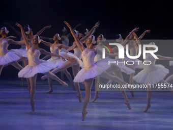 Dancers rehearse a fragment of the work Swan Lake at the Palace of Fine Arts in Mexico City, on November 8, 2024. The choreographic version...