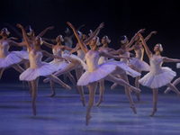 Dancers rehearse a fragment of the work Swan Lake at the Palace of Fine Arts in Mexico City, on November 8, 2024. The choreographic version...