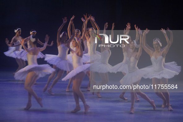 Dancers rehearse a fragment of the work Swan Lake at the Palace of Fine Arts in Mexico City, on November 8, 2024. The choreographic version...