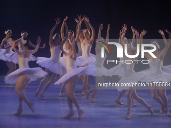 Dancers rehearse a fragment of the work Swan Lake at the Palace of Fine Arts in Mexico City, on November 8, 2024. The choreographic version...