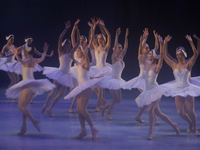 Dancers rehearse a fragment of the work Swan Lake at the Palace of Fine Arts in Mexico City, on November 8, 2024. The choreographic version...