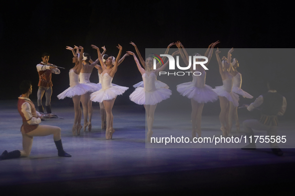 Dancers rehearse a fragment of the work Swan Lake at the Palace of Fine Arts in Mexico City, on November 8, 2024. The choreographic version...