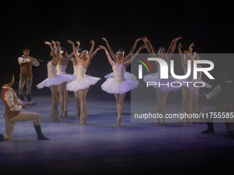 Dancers rehearse a fragment of the work Swan Lake at the Palace of Fine Arts in Mexico City, on November 8, 2024. The choreographic version...