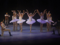 Dancers rehearse a fragment of the work Swan Lake at the Palace of Fine Arts in Mexico City, on November 8, 2024. The choreographic version...