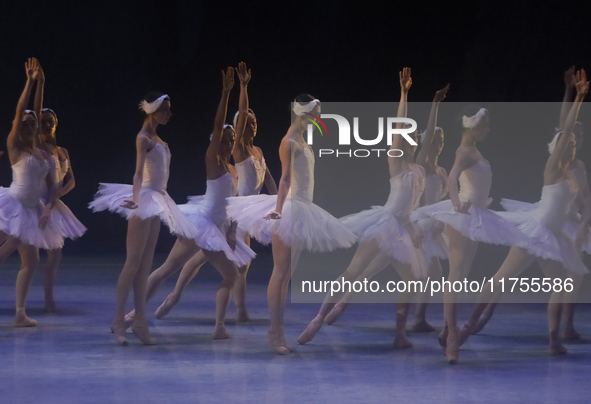 Dancers rehearse a fragment of the work Swan Lake at the Palace of Fine Arts in Mexico City, on November 8, 2024. The choreographic version...