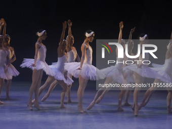 Dancers rehearse a fragment of the work Swan Lake at the Palace of Fine Arts in Mexico City, on November 8, 2024. The choreographic version...