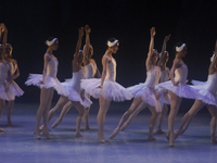 Dancers rehearse a fragment of the work Swan Lake at the Palace of Fine Arts in Mexico City, on November 8, 2024. The choreographic version...