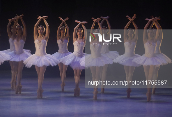 Dancers rehearse a fragment of the work Swan Lake at the Palace of Fine Arts in Mexico City, on November 8, 2024. The choreographic version...