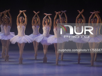 Dancers rehearse a fragment of the work Swan Lake at the Palace of Fine Arts in Mexico City, on November 8, 2024. The choreographic version...