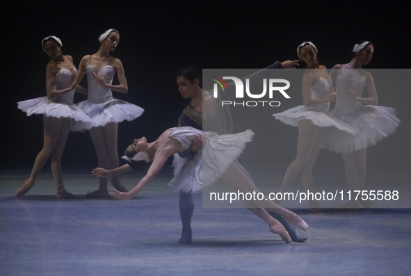 Dancers rehearse a fragment of the work Swan Lake at the Palace of Fine Arts in Mexico City, on November 8, 2024. The choreographic version...