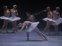 Dancers rehearse a fragment of the work Swan Lake at the Palace of Fine Arts in Mexico City, on November 8, 2024. The choreographic version...