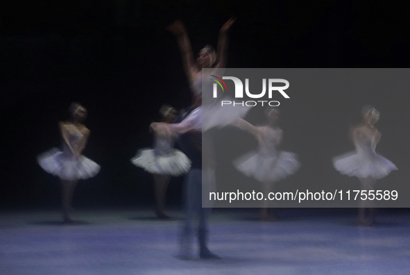 Dancers rehearse a fragment of the work Swan Lake at the Palace of Fine Arts in Mexico City, on November 8, 2024. The choreographic version...