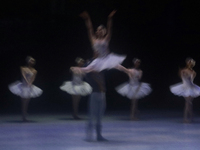 Dancers rehearse a fragment of the work Swan Lake at the Palace of Fine Arts in Mexico City, on November 8, 2024. The choreographic version...