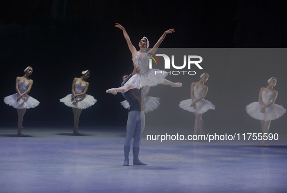 Dancers rehearse a fragment of the work Swan Lake at the Palace of Fine Arts in Mexico City, on November 8, 2024. The choreographic version...