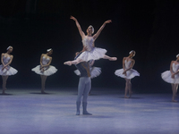 Dancers rehearse a fragment of the work Swan Lake at the Palace of Fine Arts in Mexico City, on November 8, 2024. The choreographic version...