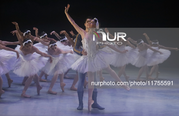 Dancers rehearse a fragment of the work Swan Lake at the Palace of Fine Arts in Mexico City, on November 8, 2024. The choreographic version...