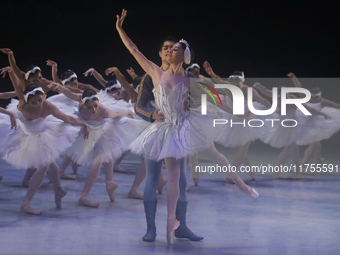 Dancers rehearse a fragment of the work Swan Lake at the Palace of Fine Arts in Mexico City, on November 8, 2024. The choreographic version...