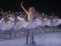 Dancers rehearse a fragment of the work Swan Lake at the Palace of Fine Arts in Mexico City, on November 8, 2024. The choreographic version...