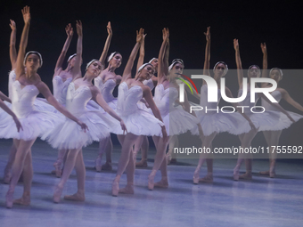 Dancers rehearse a fragment of the work Swan Lake at the Palace of Fine Arts in Mexico City, on November 8, 2024. The choreographic version...