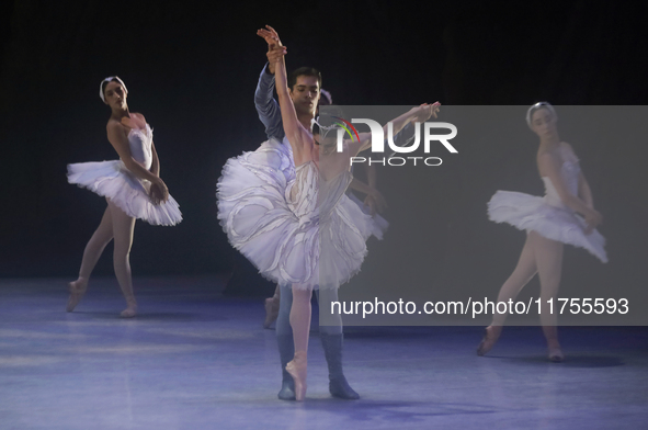 Dancers rehearse a fragment of the work Swan Lake at the Palace of Fine Arts in Mexico City, on November 8, 2024. The choreographic version...