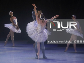 Dancers rehearse a fragment of the work Swan Lake at the Palace of Fine Arts in Mexico City, on November 8, 2024. The choreographic version...