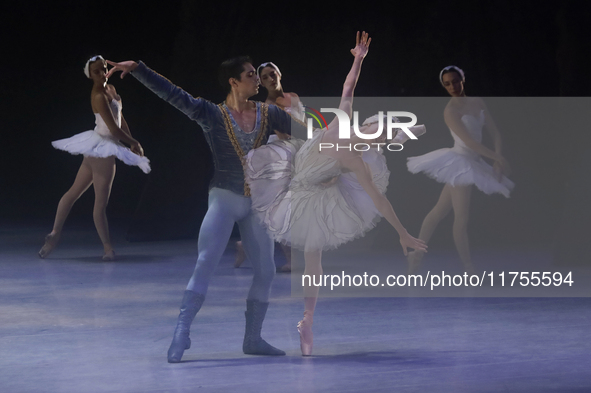 Dancers rehearse a fragment of the work Swan Lake at the Palace of Fine Arts in Mexico City, on November 8, 2024. The choreographic version...