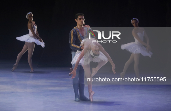 Dancers rehearse a fragment of the work Swan Lake at the Palace of Fine Arts in Mexico City, on November 8, 2024. The choreographic version...