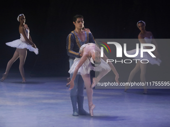 Dancers rehearse a fragment of the work Swan Lake at the Palace of Fine Arts in Mexico City, on November 8, 2024. The choreographic version...