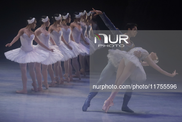 Dancers rehearse a fragment of the work Swan Lake at the Palace of Fine Arts in Mexico City, on November 8, 2024. The choreographic version...