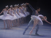 Dancers rehearse a fragment of the work Swan Lake at the Palace of Fine Arts in Mexico City, on November 8, 2024. The choreographic version...