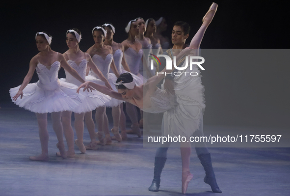 Dancers rehearse a fragment of the work Swan Lake at the Palace of Fine Arts in Mexico City, on November 8, 2024. The choreographic version...