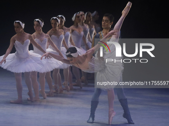 Dancers rehearse a fragment of the work Swan Lake at the Palace of Fine Arts in Mexico City, on November 8, 2024. The choreographic version...